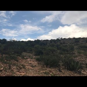 Meet your Posher, Elian